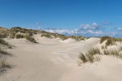 Dünenlandschaft auf Baltrum