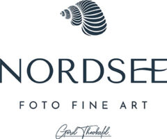 Logo Nordsee Fotografie mit Wellhornschnecke